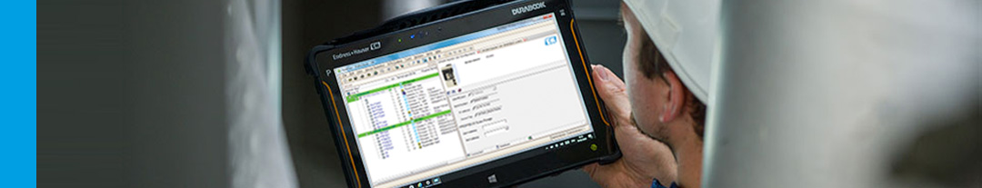 Endress+Hauser On-site vs. lab calibration
