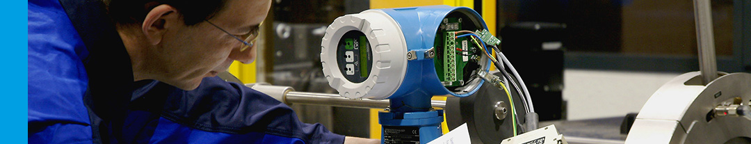 Endress+Hauser | Instrument Calibration